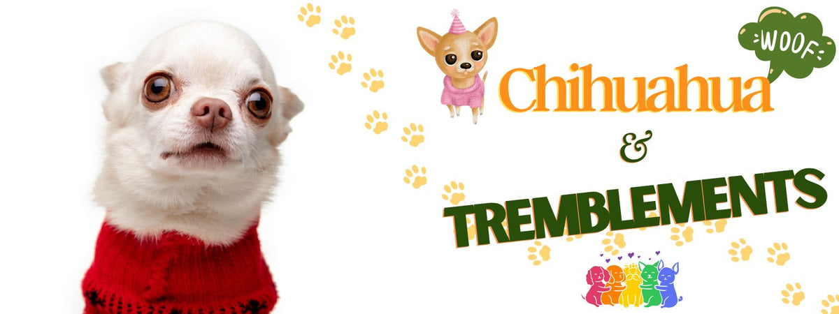 Pourquoi le Chihuahua Tremble