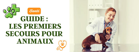 Premiers secours pour animaux domestiques