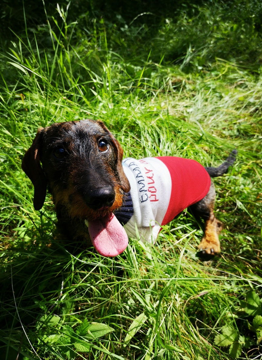 V tements Teckel Teckelshop