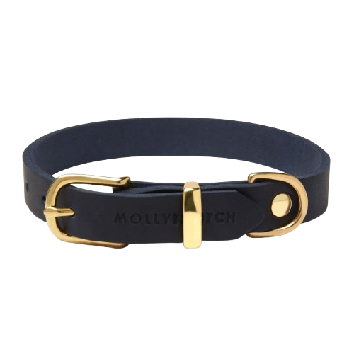 Luxuriöses blaues Hundehalsband aus Leder