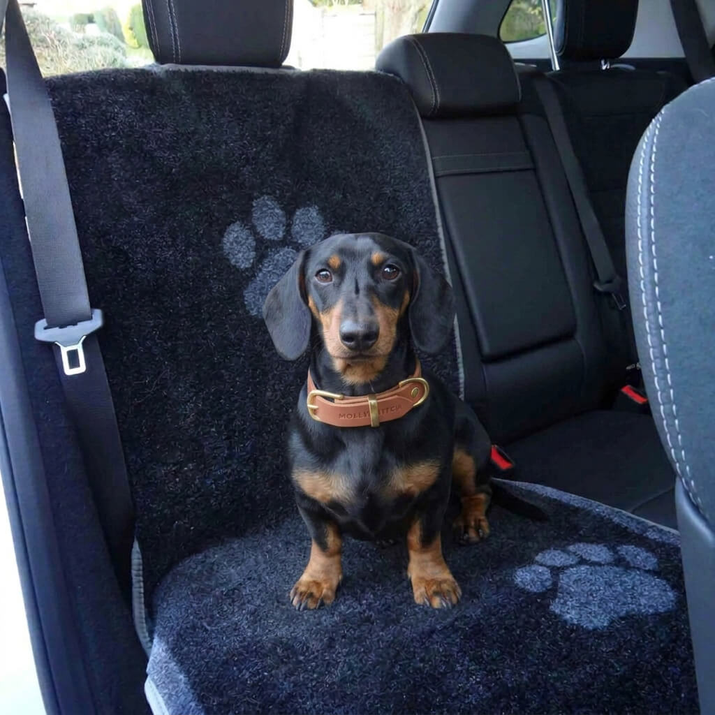 Schutzhülle für den Auto-Sitz für Hunde