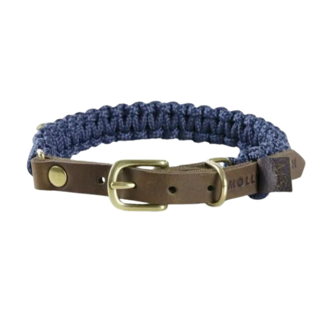 blaues Hundehalsband aus Leder und Kordel