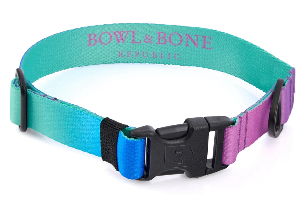 Collier chien vert menthe gradient