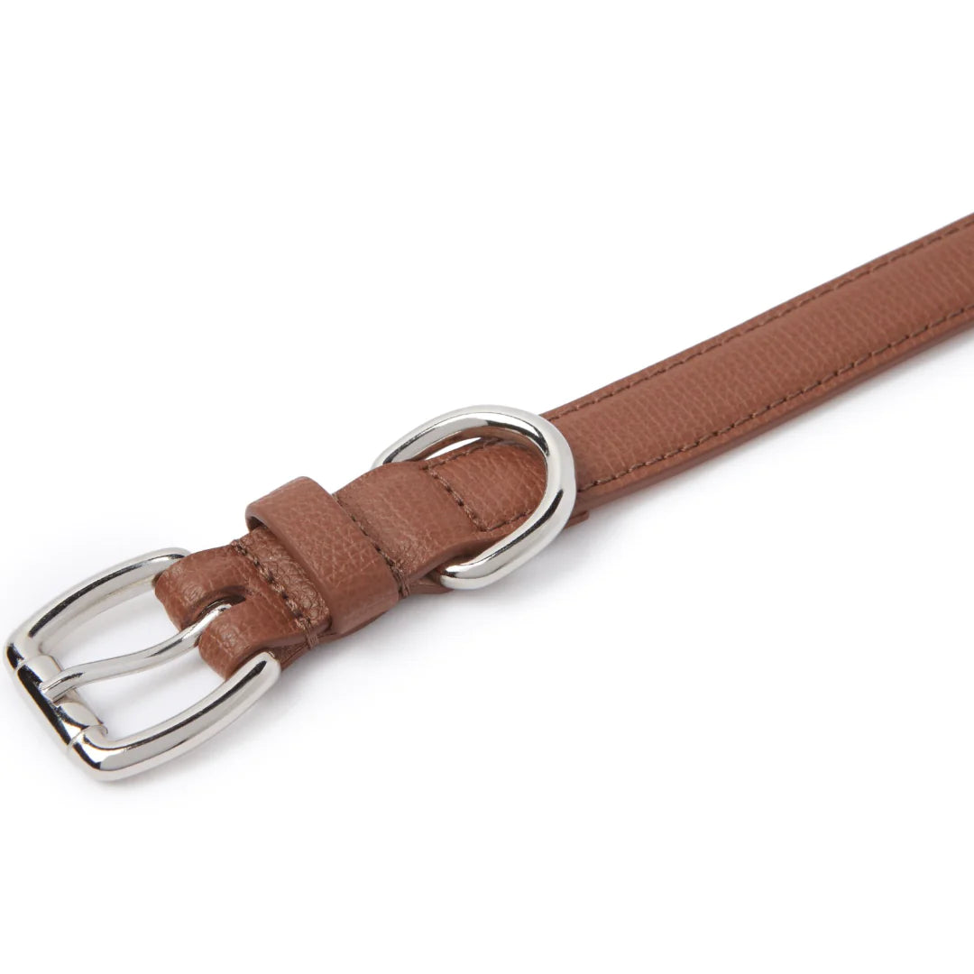 Collier en Cuir Brun pour Chien Teckel
