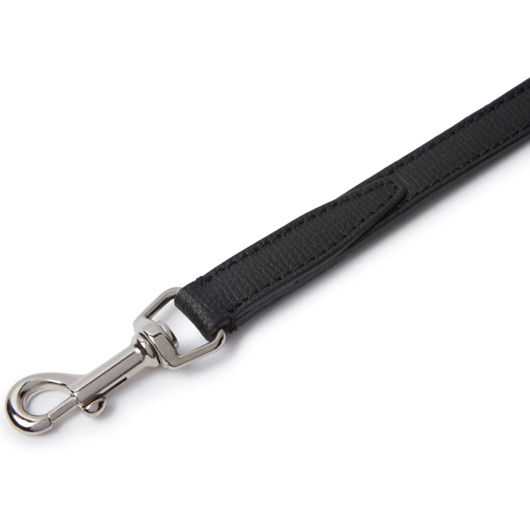 Laisse Teckel Noir