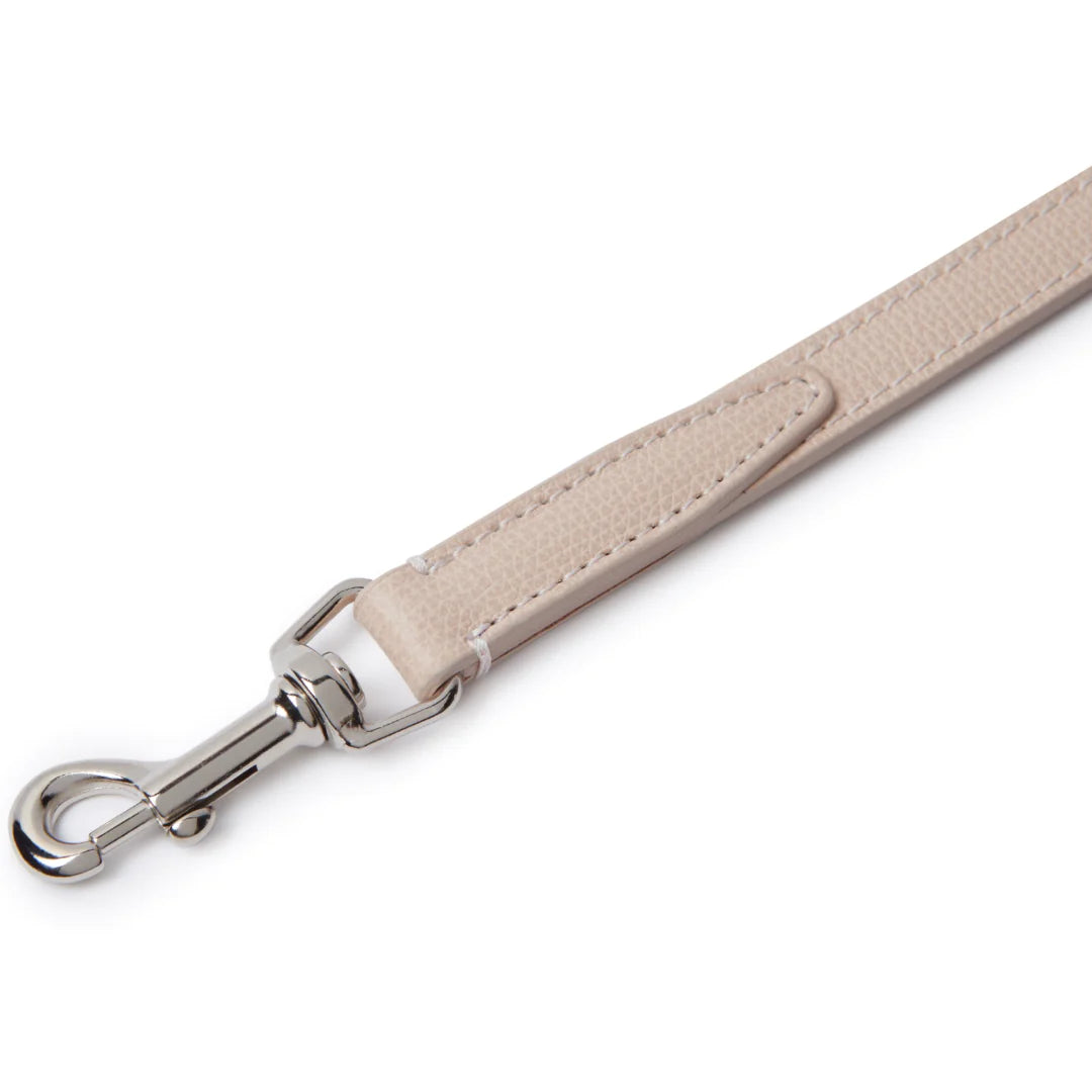 Parure Luxe pour Chien Teckel