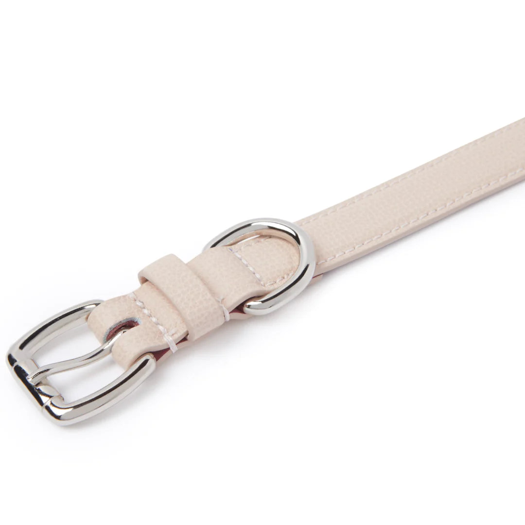 Collier Cuir Rose pour Chien Teckel