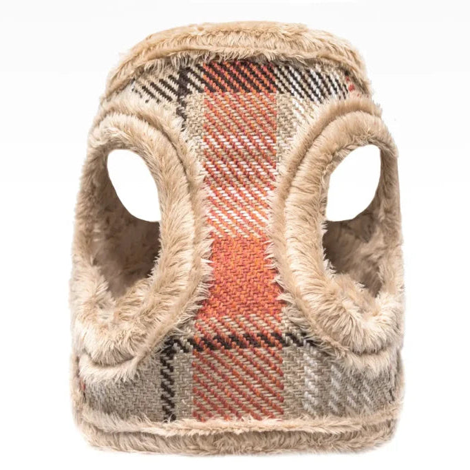 harnais luxe chic chien