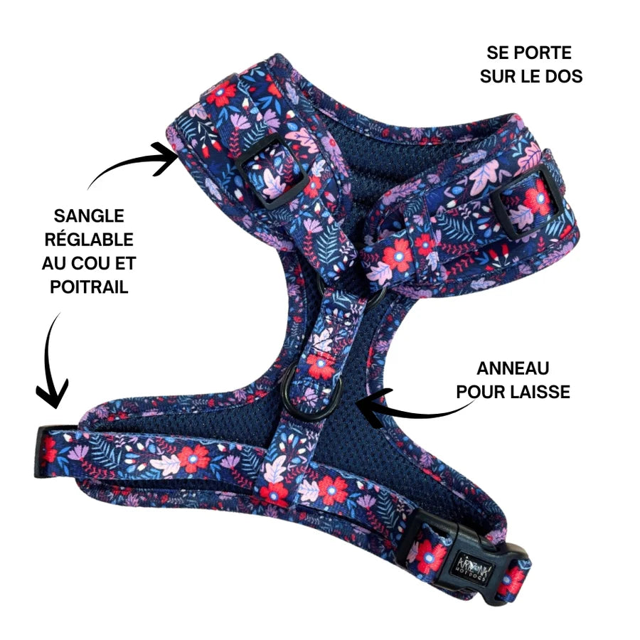 harnais pour petit chien