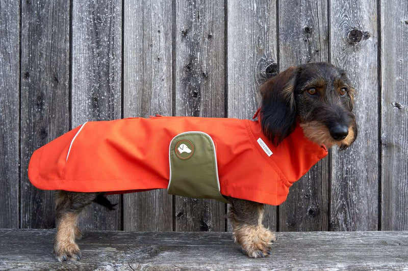orangefarbener Dackel-Regenmantel