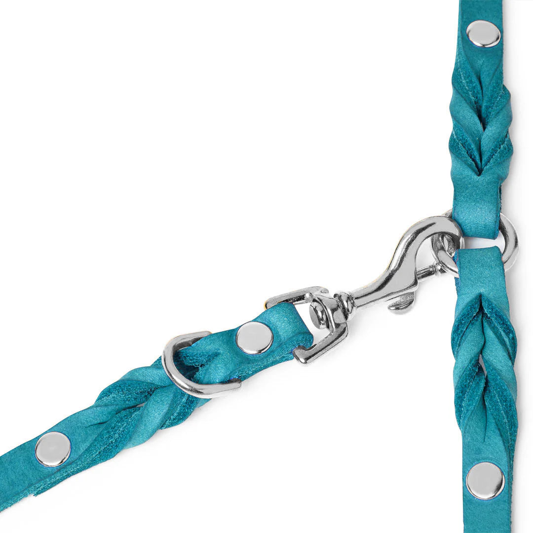 Leine aus blauem Leder mit silbernem Karabinerhaken