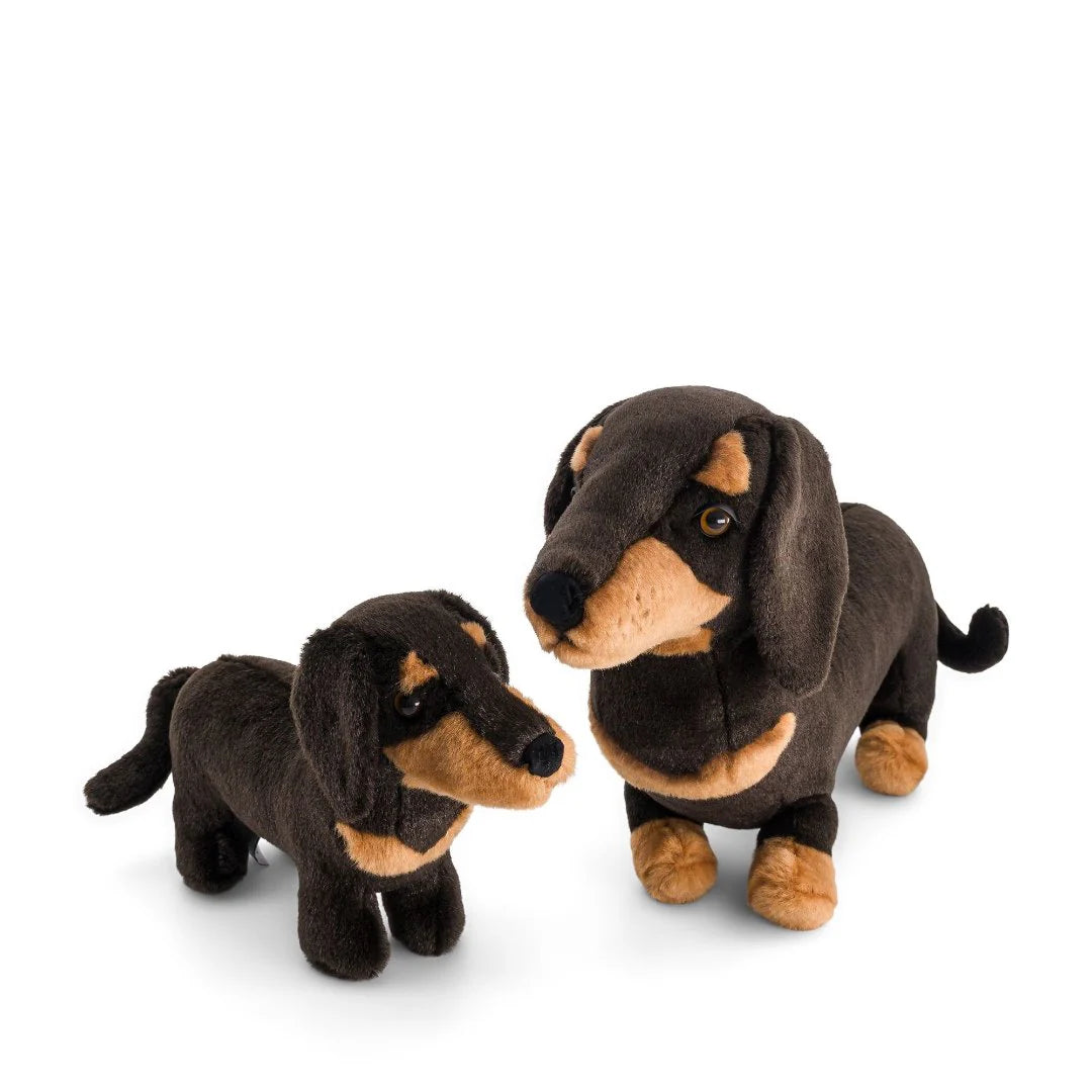 Peluche Chien Saucisse