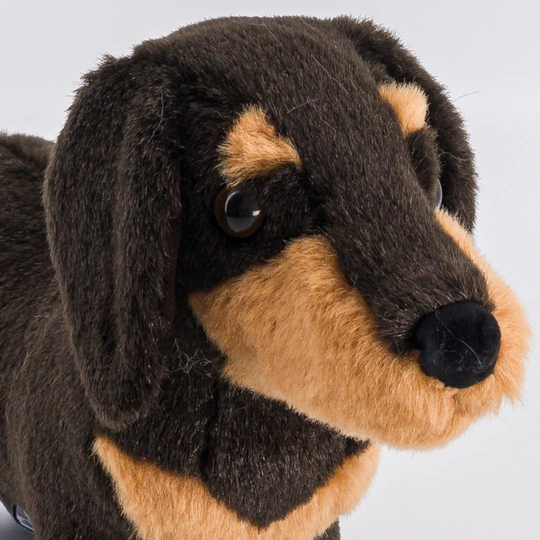 Peluche Chiot Teckel