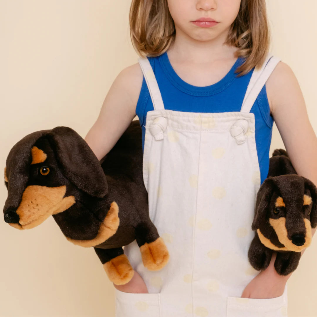 Peluche Enfant Teckel