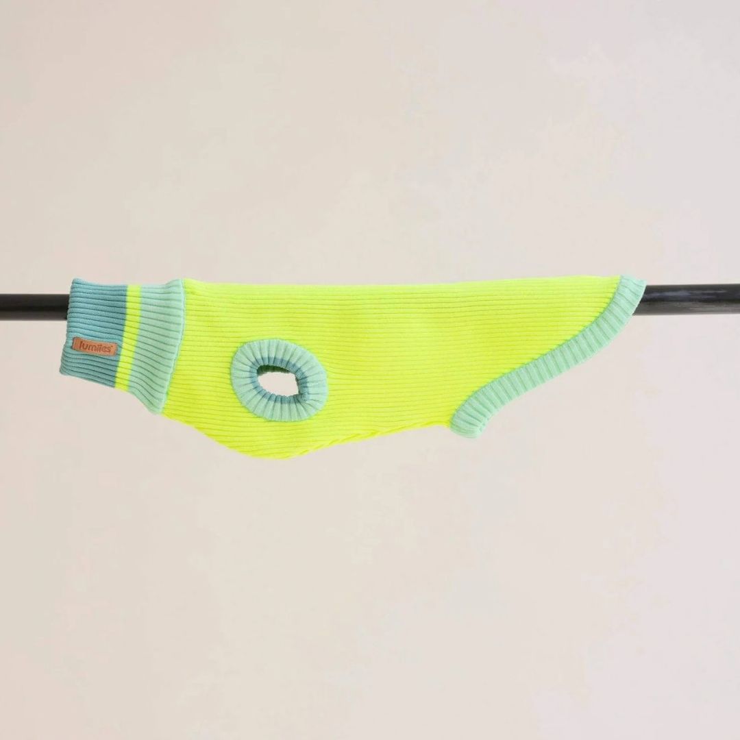 Vêtement Teckel <br> Jumper Pull Neon Matcha