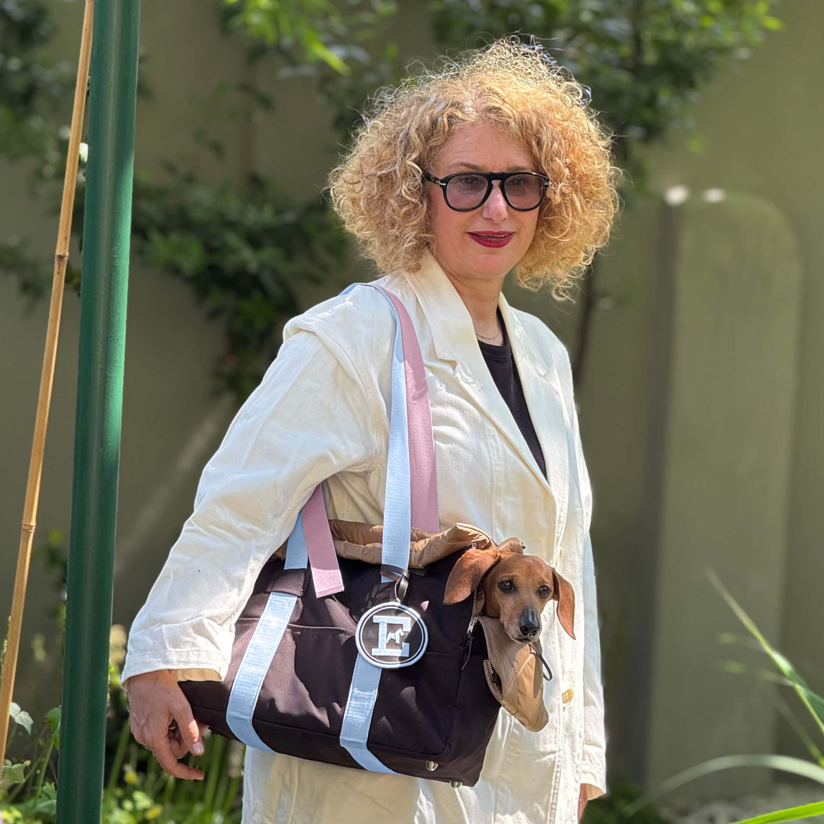 Kleiner Hund, der es sich in einer Hundetasche gemütlich gemacht hat