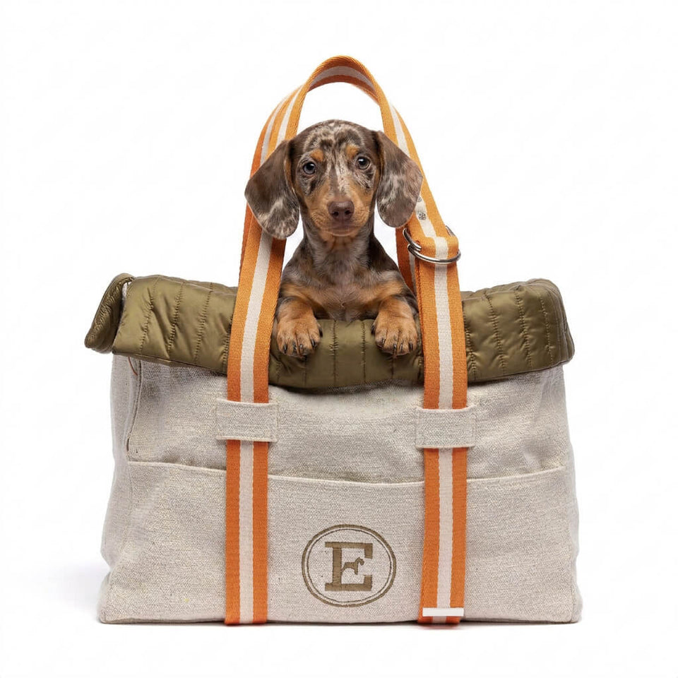 sac voyage canvas pour teckel