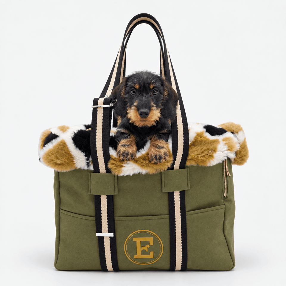 sac voyage teckel pour home page