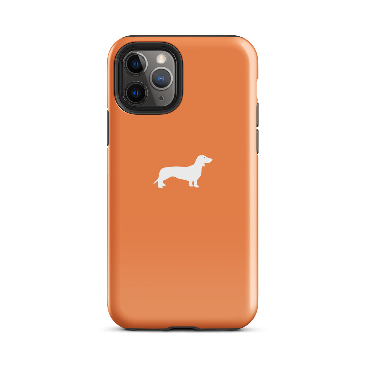coque teckel orange iphone