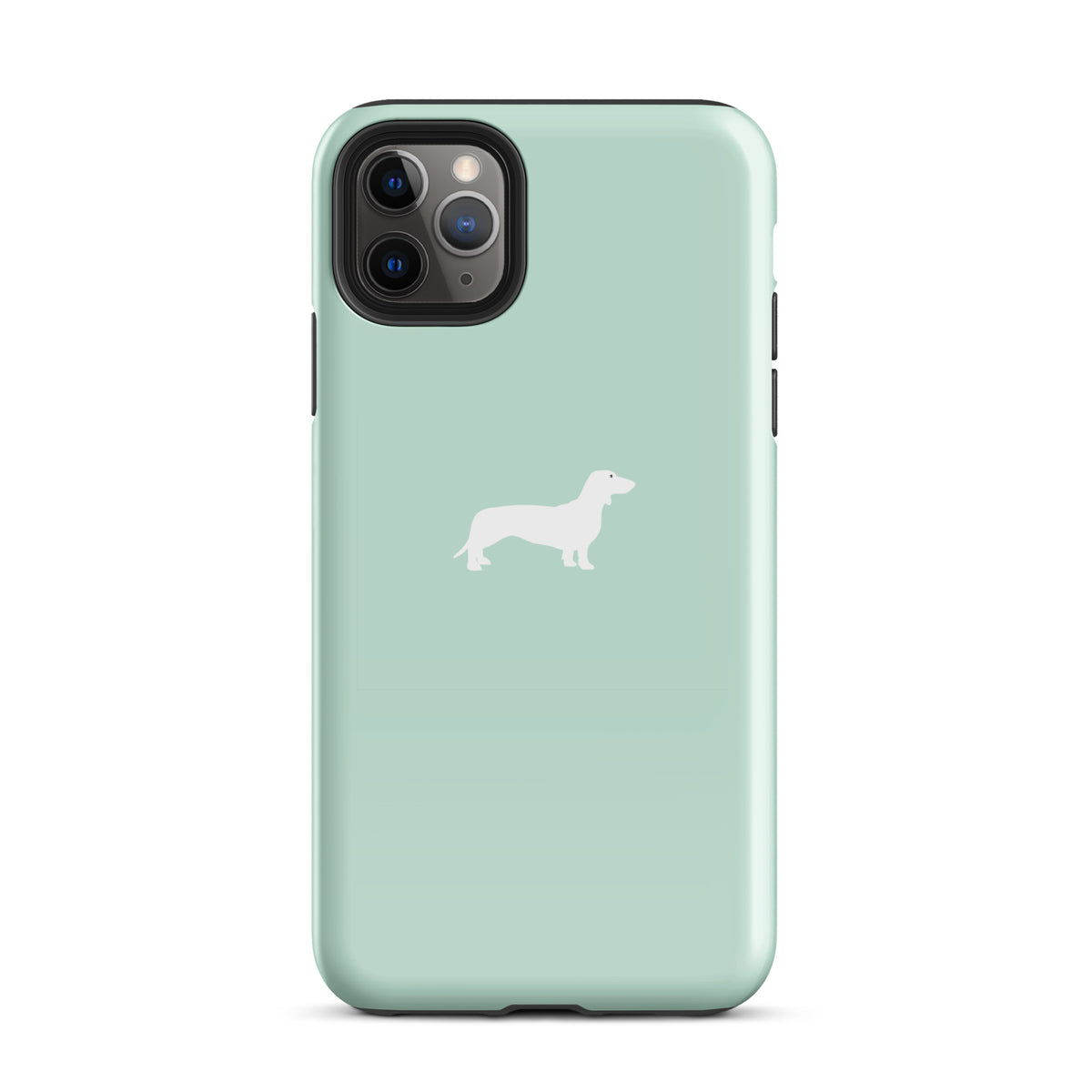 coque iphone teckel menthe