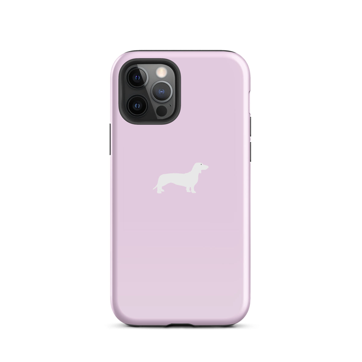 coque teckel protection pastel