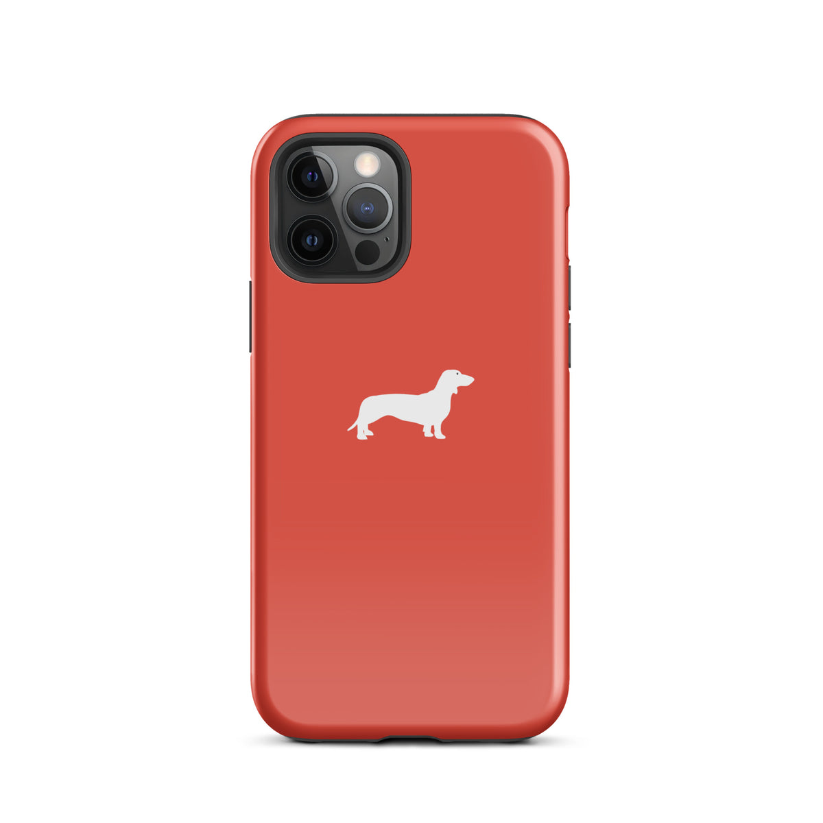 coque teckel rouge iphone elegante