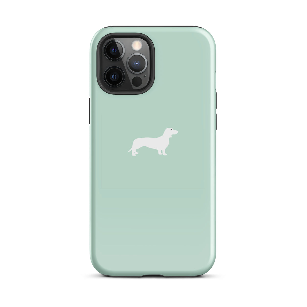 coque iphone teckel menthe clair