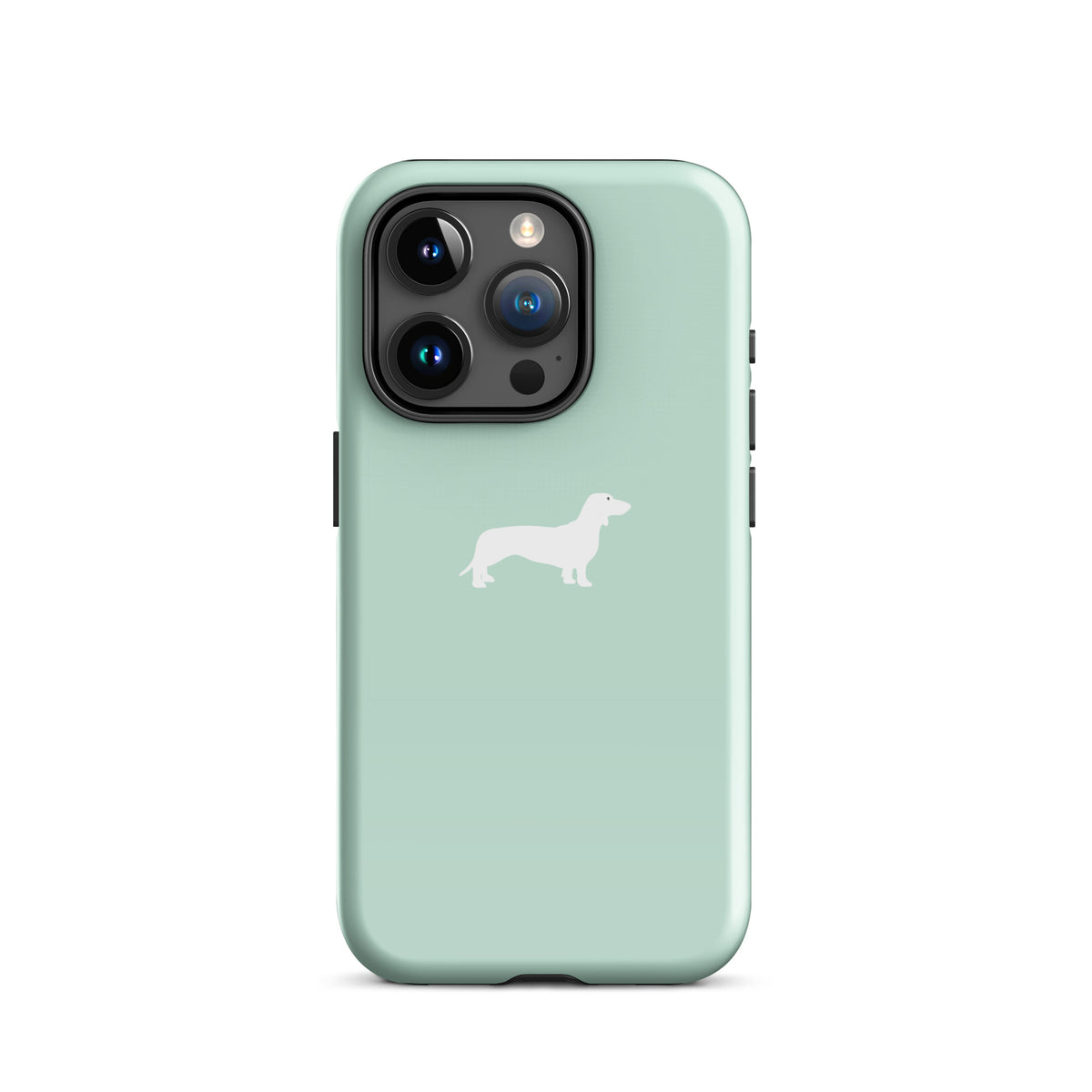 coque iphone teckel menthe pastel
