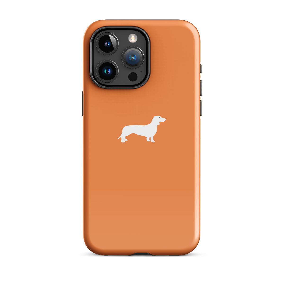 coque iphone teckel orange decoratif