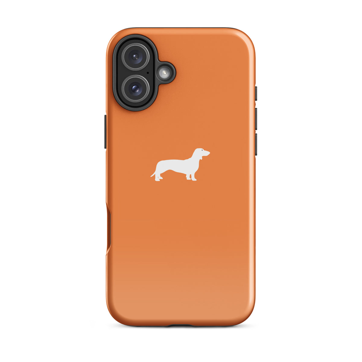 coque iphone teckel orange mandarine