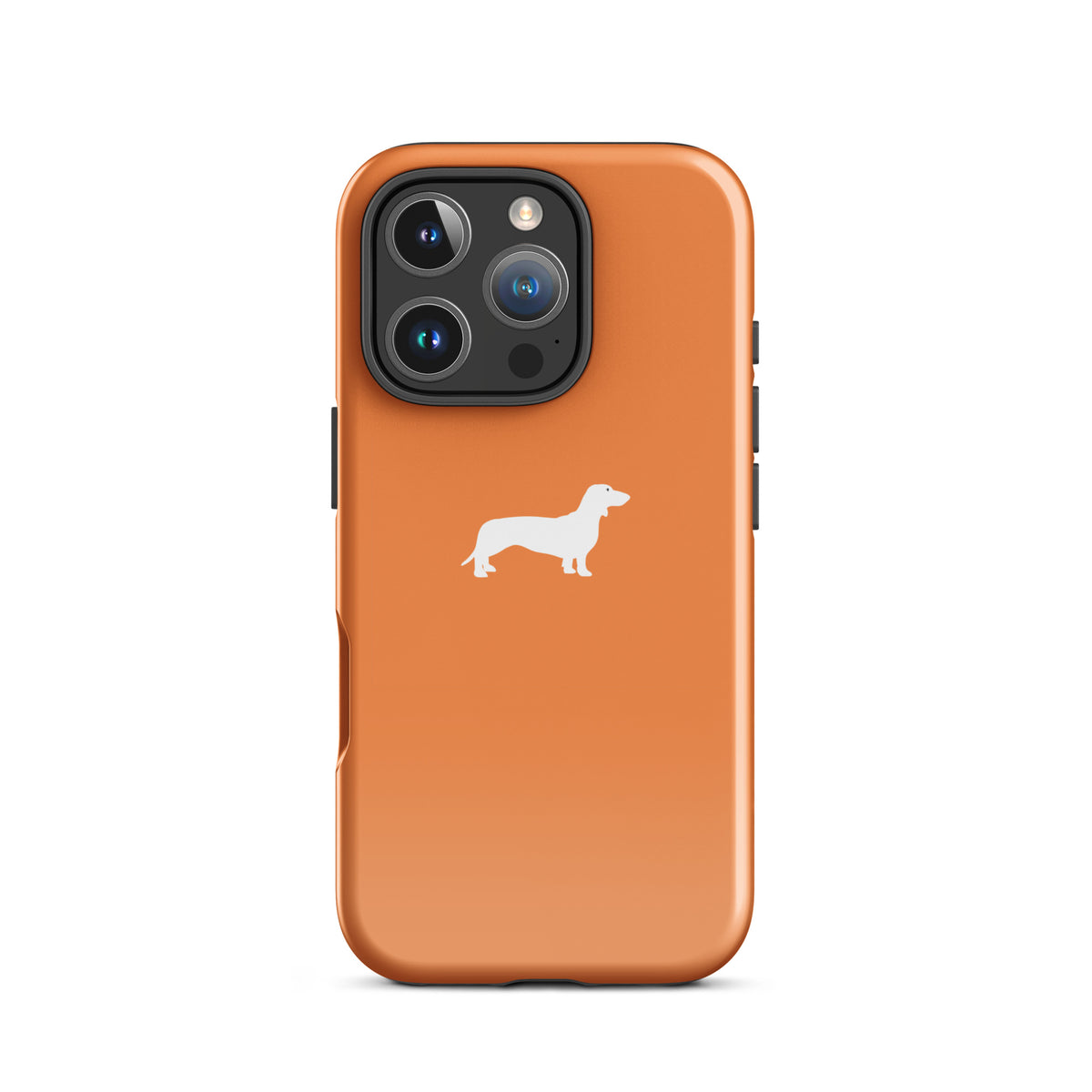 coque teckel orange iphone chic