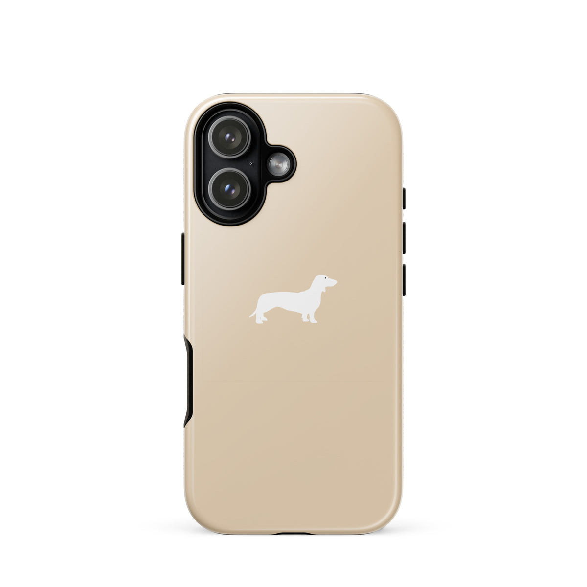 coque teckel champagne iphone raffine
