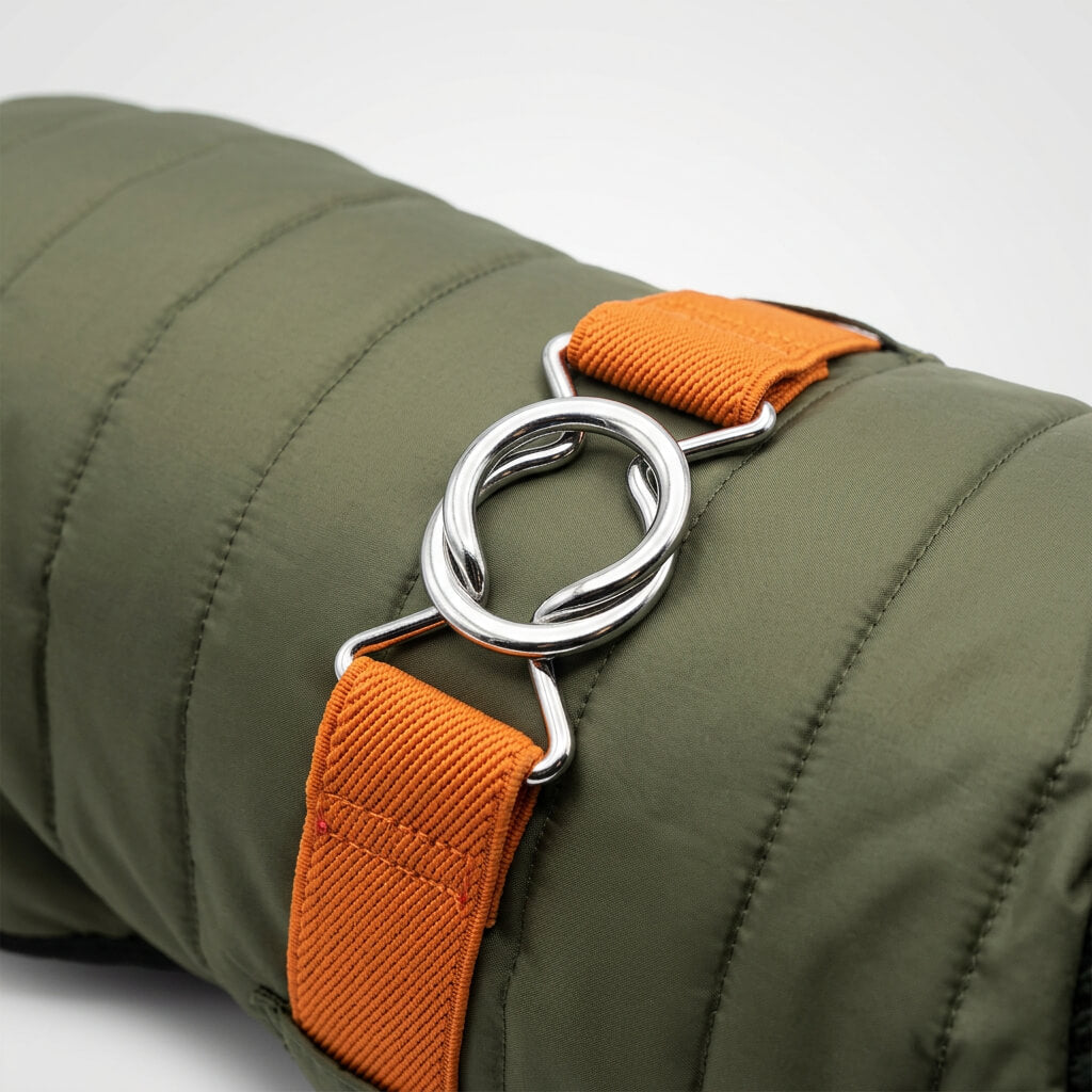 Vêtement Teckel <br> Quilt Veste Verte (sur mesure)