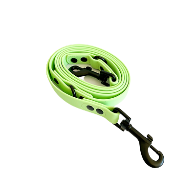 Laisse Teckel Vert