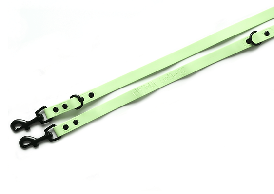 Collier et Laisse Teckel Vert