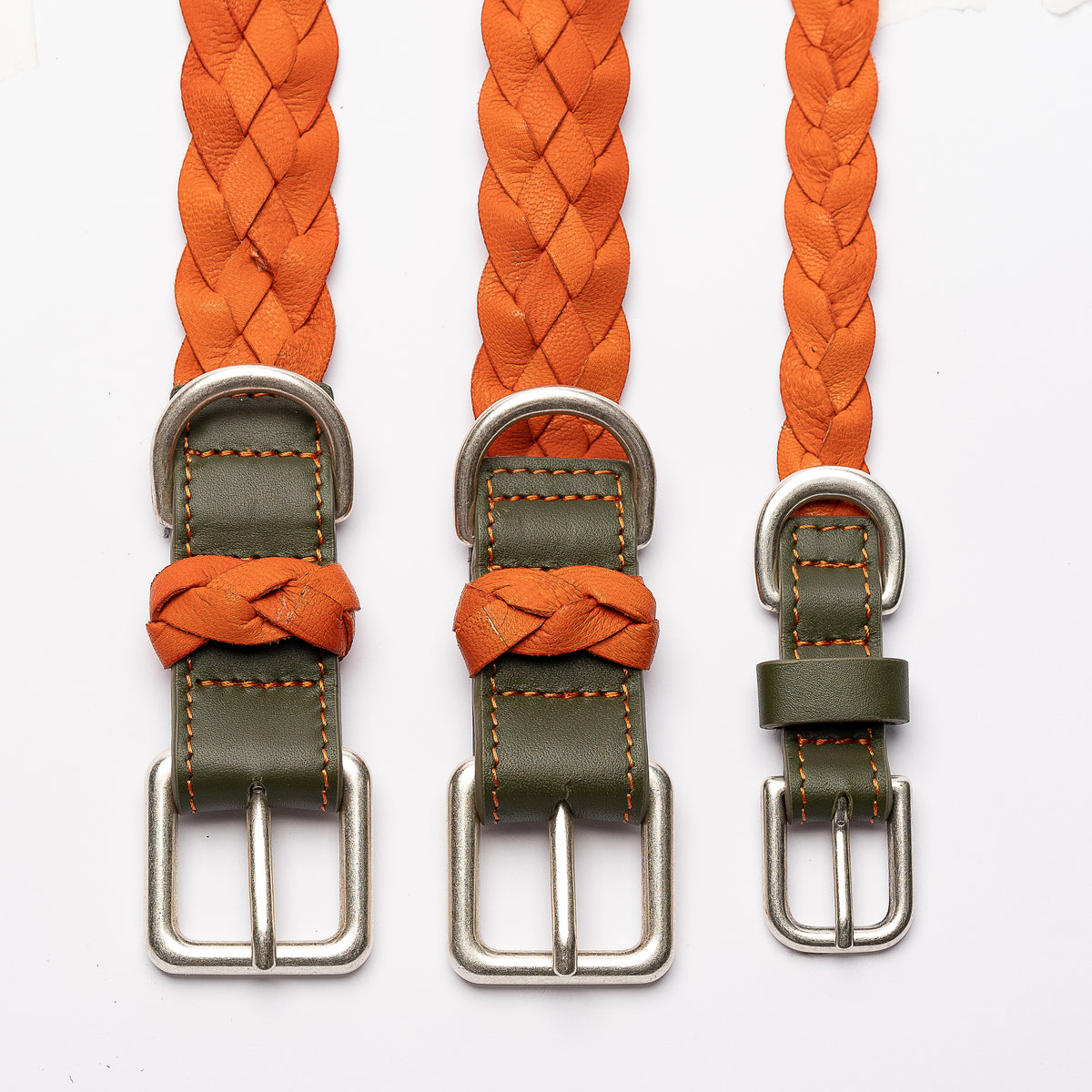 Laisse Luxe pour Chien