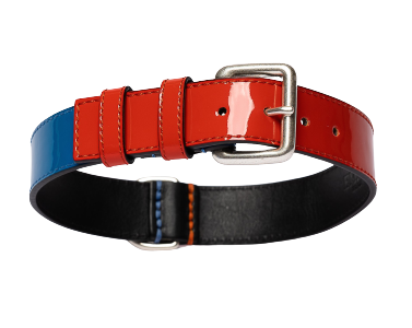Collier Cuir Verni Chien