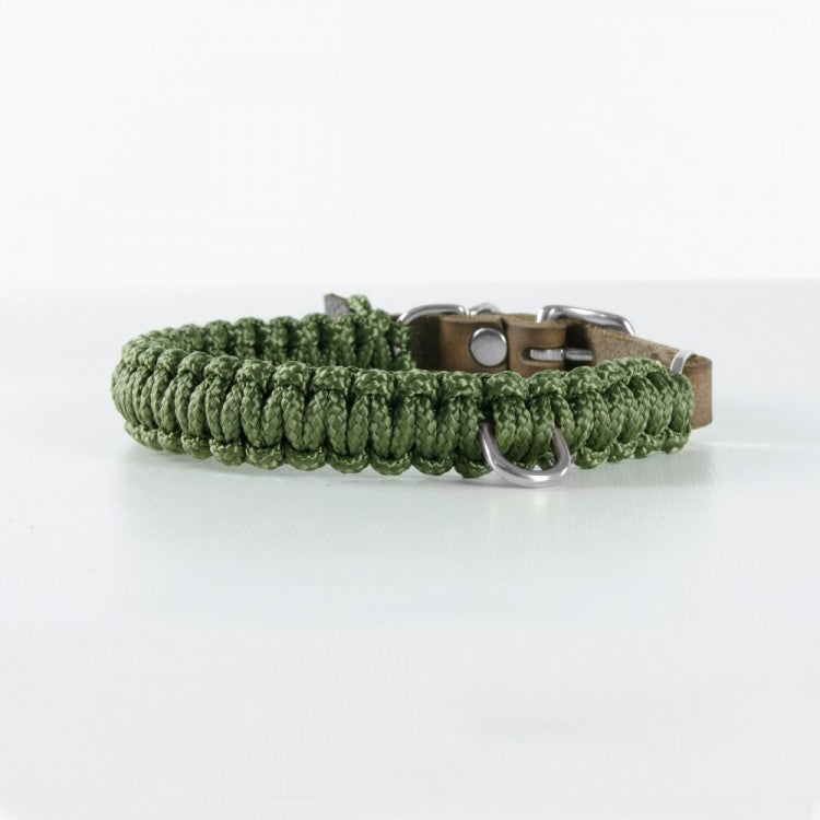Robustes Hundehalsband
