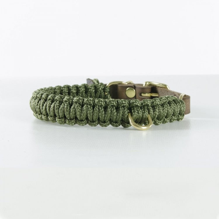 Robustes Dackelhalsband