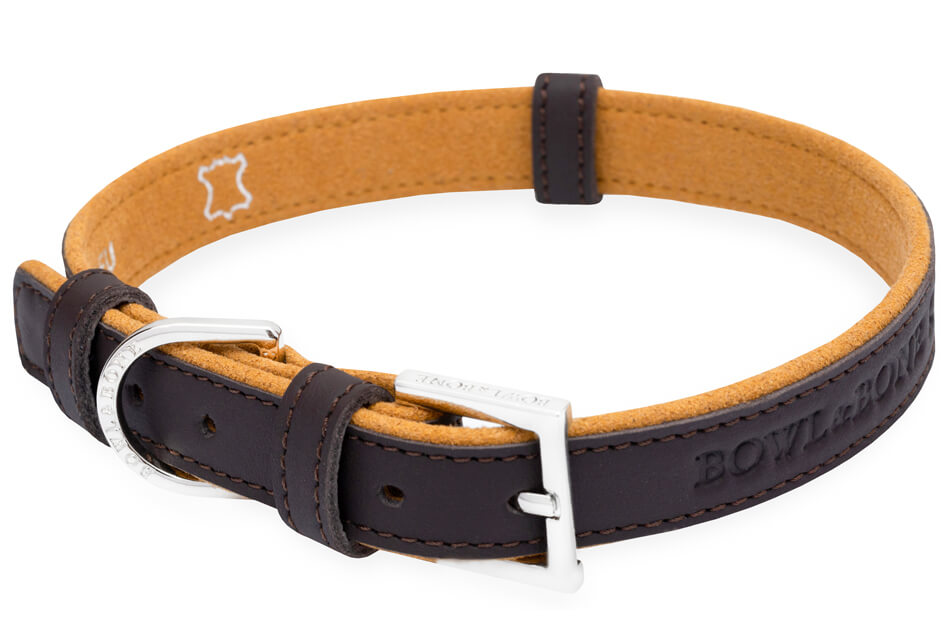 Collier en Cuir pour Teckel
