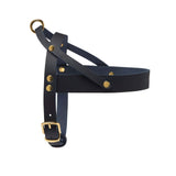 Harnais Chien Luxe