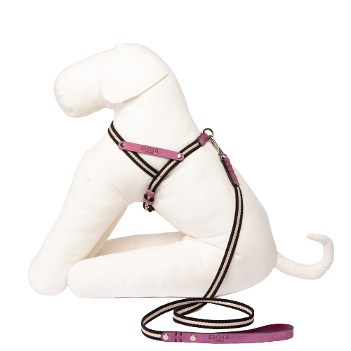 Harnais Haut de Gamme Chien
