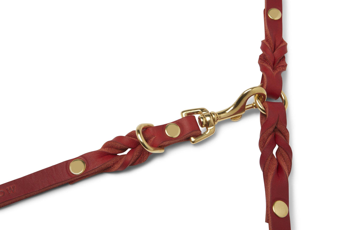 Verstellbare Leine aus Leder und Gold