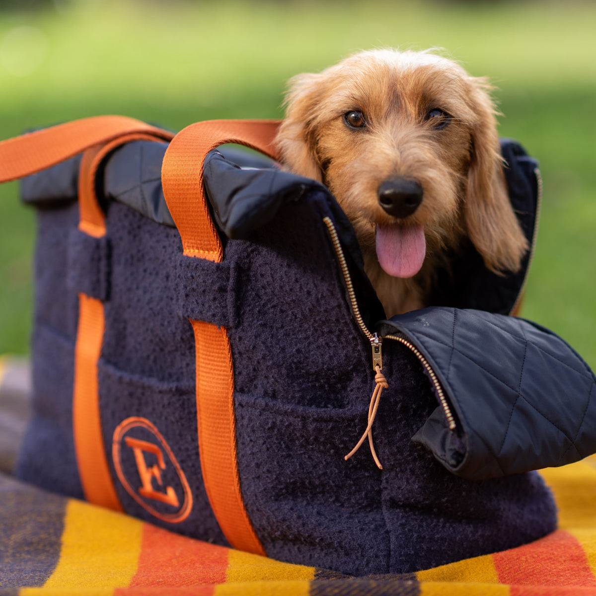 Transporttasche für Kaninchen-Dackel