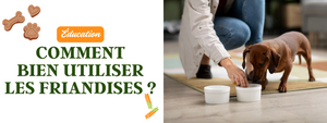 Utiliser Friandises pour Eduquer Chien