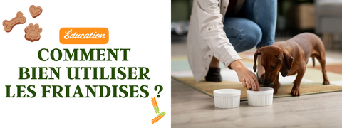Utiliser Friandises pour Eduquer Chien
