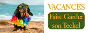 Faire Garder son Chien Teckel