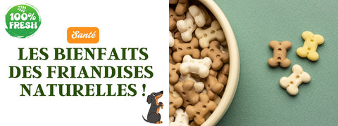 Friandises naturelles santé chien 