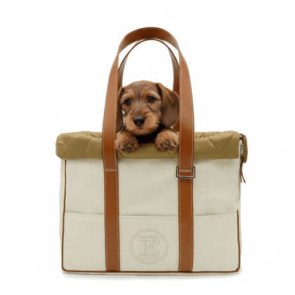 Teckel dans sac de voyage