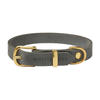 Thumbnail für Luxuriöse Hundehalsband aus grauem Leder